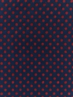 Alvaro Moreno FOULARD PRINT-Hombre Foulares