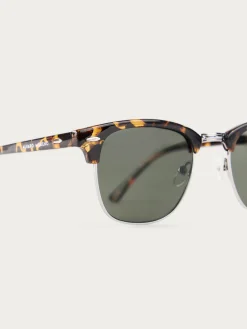 Alvaro Moreno GAFAS MASTER MARRÓN-Hombre Gafas De Sol