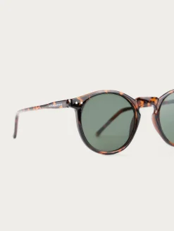 Alvaro Moreno GAFAS ROUNDER MARRÓN-Hombre Gafas De Sol