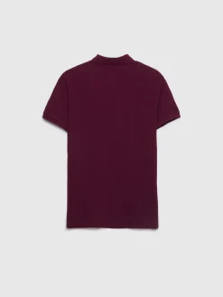 Alvaro Moreno POLO BASIC-Hombre Polos Y Poleras